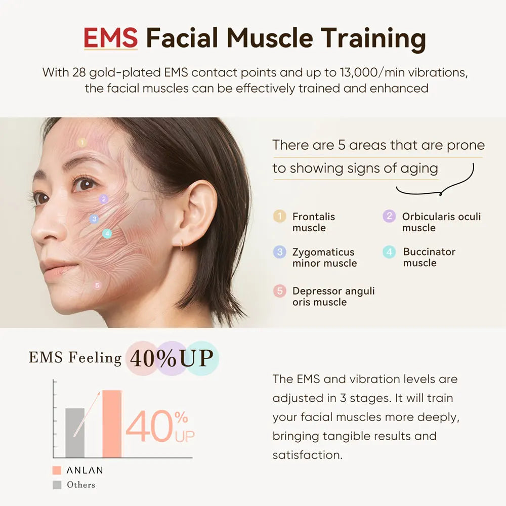 ANLAN Appareil de beauté RF Lifting du visage par EMS Anti-âge et anti-rides Soin de la peau par lumière 3 couleurs Mini appareil de massage raffermissant par radiofréquence