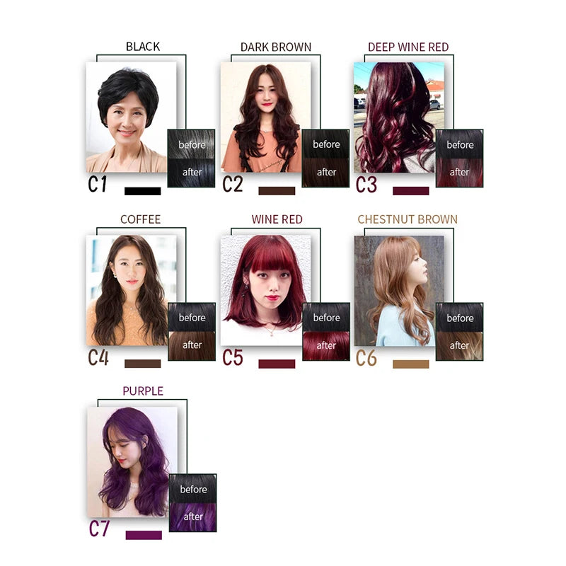 Shampooing à Coloration Instantanée 3 en 1, Teinture pour Cheveux, à Base de Plantes, Brun Violet, Document Noir Naturel, pour Homme et Femme